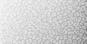 Leopard white golden plata brillo