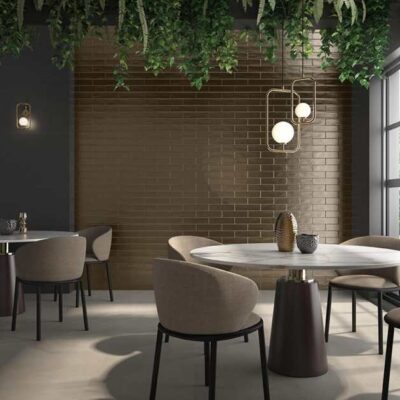 Origin Aurea-flos-via