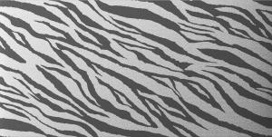 Tiger black golden plata brillo