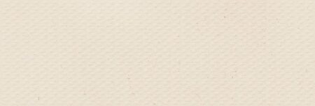 Rlv.via palomastone white