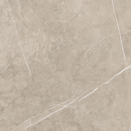 Lyon 1837 Vison Pulido Rect