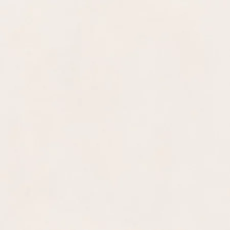 Phoenix 1845 White Rect