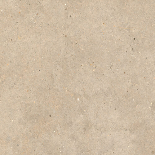 ELYSIAN EY09 GOLD CATALAN