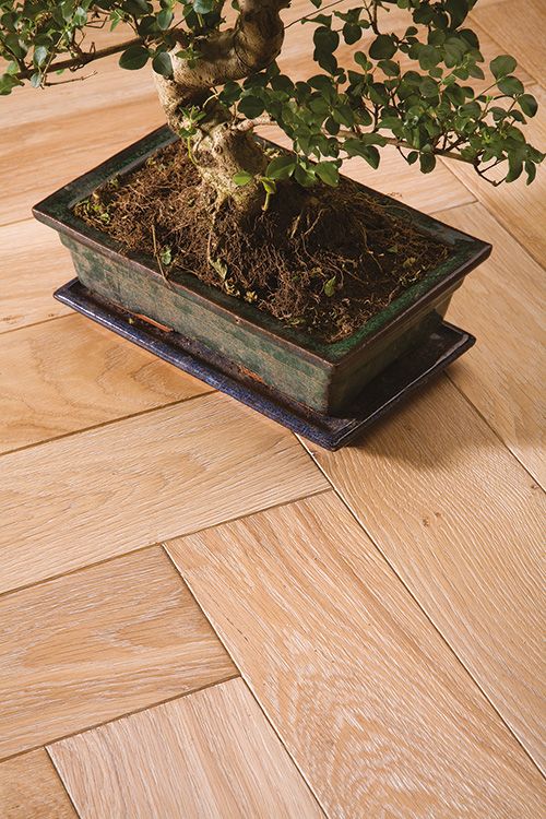 Parquet chêne massif 21 mm Col.303 B Chêne PR brossé arktiss huilé bâton rompu largeur 110 x 650